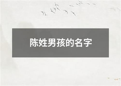 陈姓男孩的名字