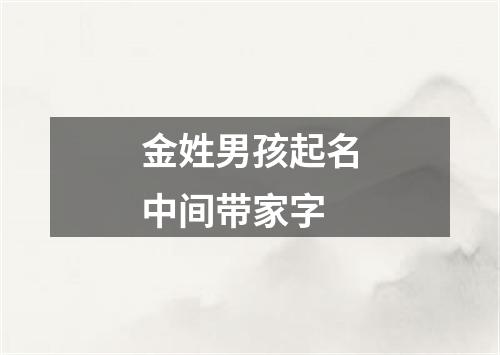 金姓男孩起名中间带家字