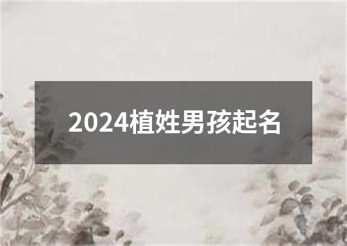 2024植姓男孩起名