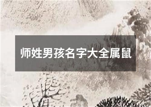 师姓男孩名字大全属鼠