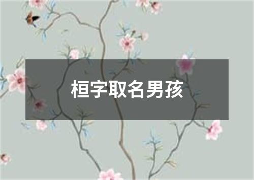 桓字取名男孩