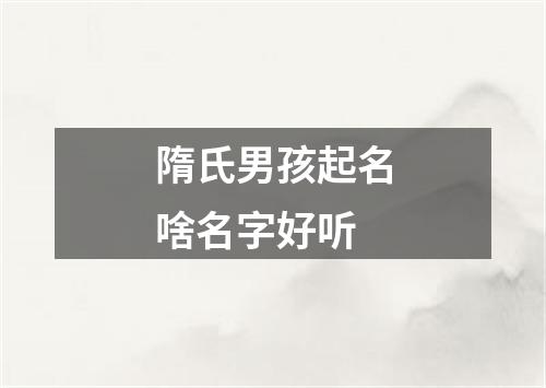 隋氏男孩起名啥名字好听