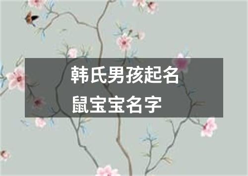 韩氏男孩起名鼠宝宝名字