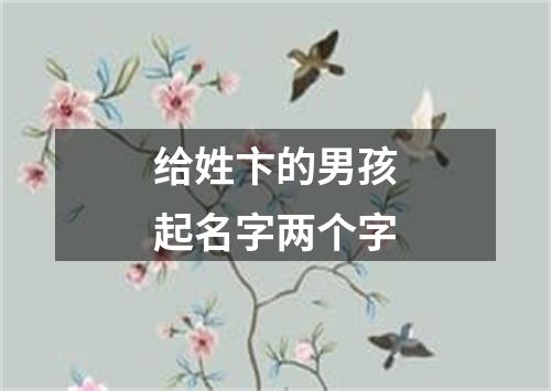 给姓卞的男孩起名字两个字