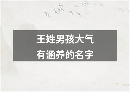 王姓男孩大气有涵养的名字