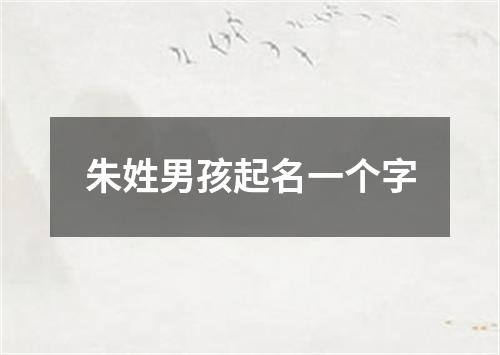 朱姓男孩起名一个字