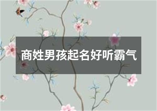 商姓男孩起名好听霸气