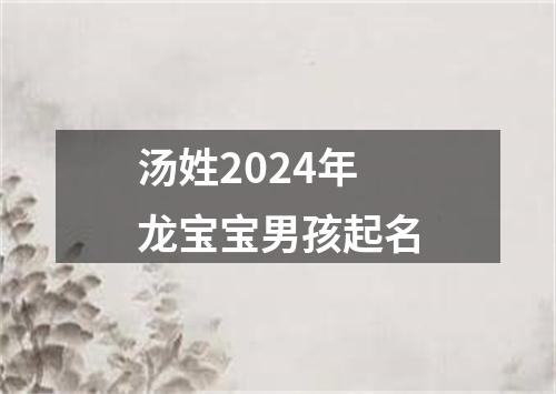 汤姓2024年龙宝宝男孩起名