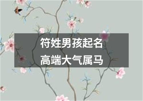 符姓男孩起名高端大气属马