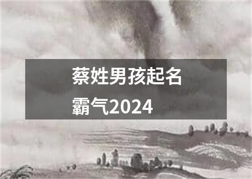 蔡姓男孩起名霸气2024