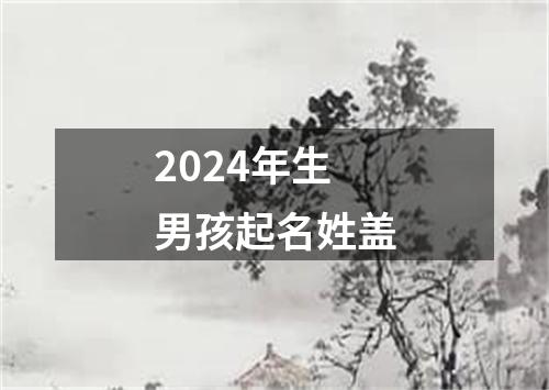 2024年生男孩起名姓盖