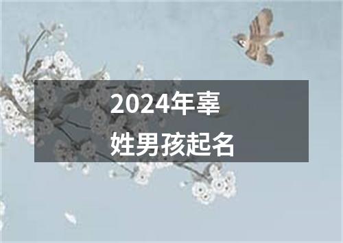 2024年辜姓男孩起名