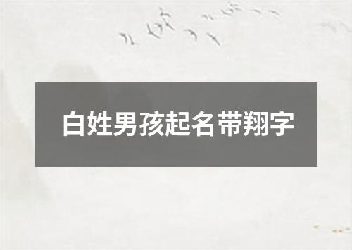 白姓男孩起名带翔字