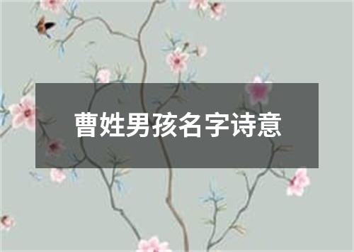 曹姓男孩名字诗意