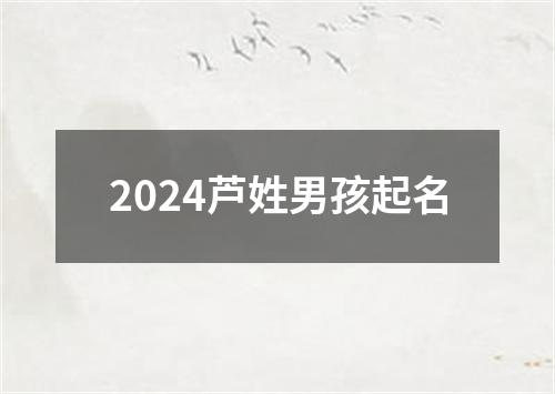 2024芦姓男孩起名