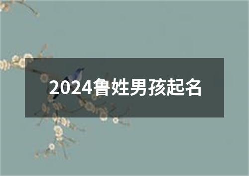 2024鲁姓男孩起名