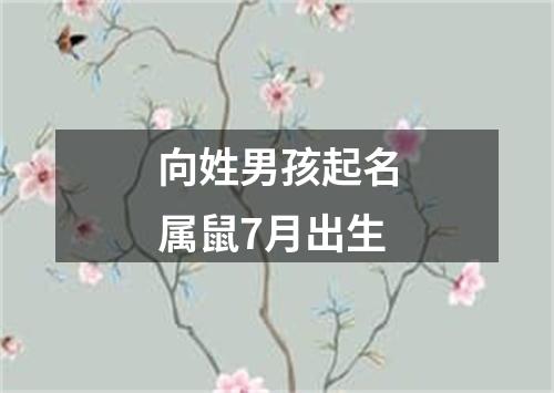 向姓男孩起名属鼠7月出生