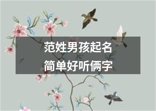 范姓男孩起名简单好听俩字