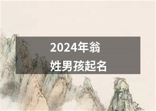 2024年翁姓男孩起名