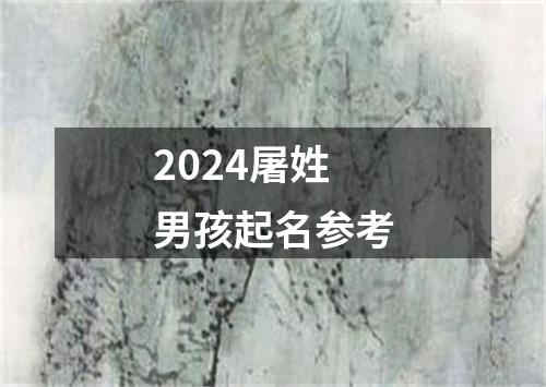 2024屠姓男孩起名参考