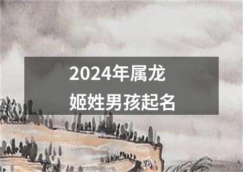 2024年属龙姬姓男孩起名