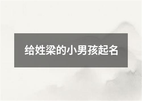 给姓梁的小男孩起名