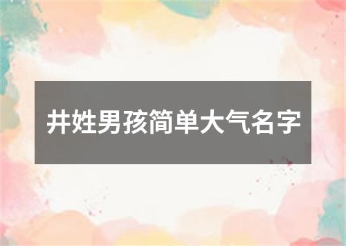 井姓男孩简单大气名字