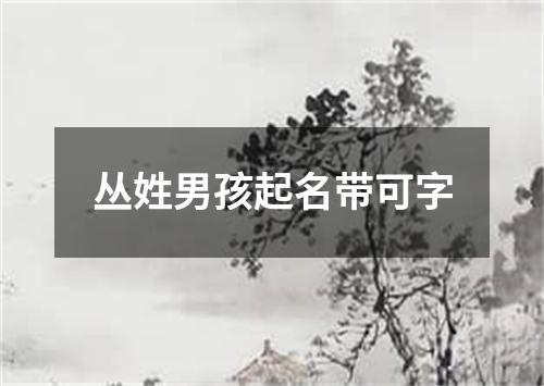 丛姓男孩起名带可字