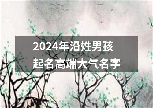 2024年沿姓男孩起名高端大气名字