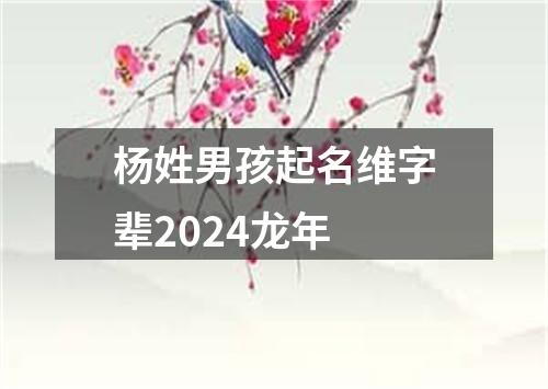 杨姓男孩起名维字辈2024龙年