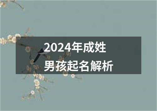 2024年成姓男孩起名解析