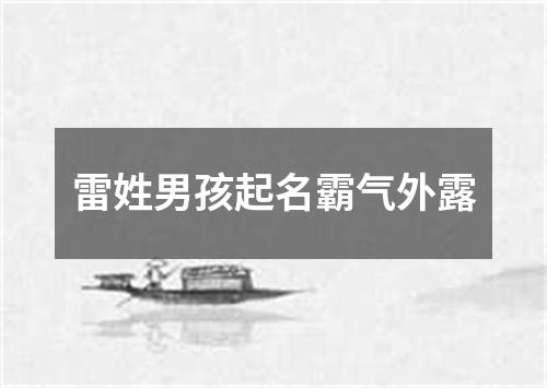 雷姓男孩起名霸气外露