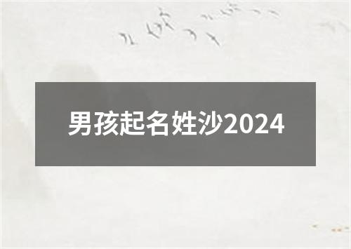 男孩起名姓沙2024