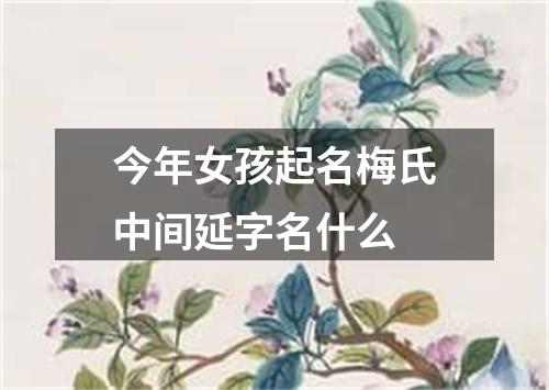 今年女孩起名梅氏中间延字名什么