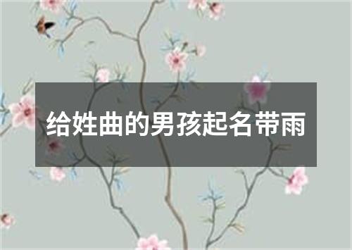 给姓曲的男孩起名带雨