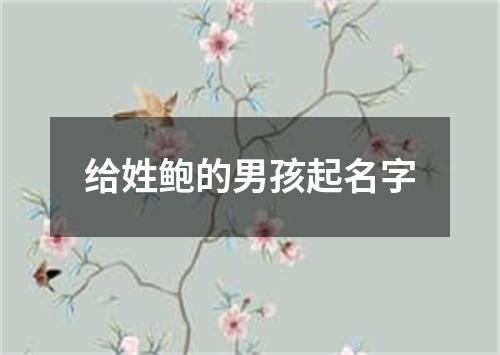 给姓鲍的男孩起名字