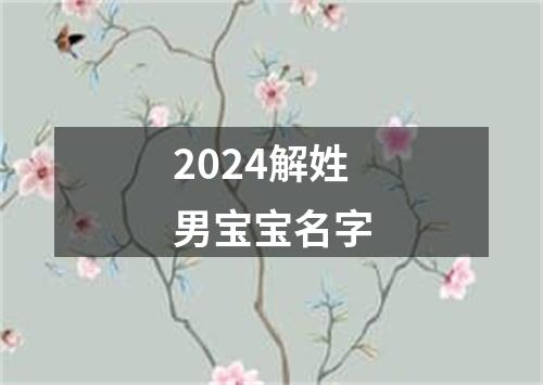 2024解姓男宝宝名字