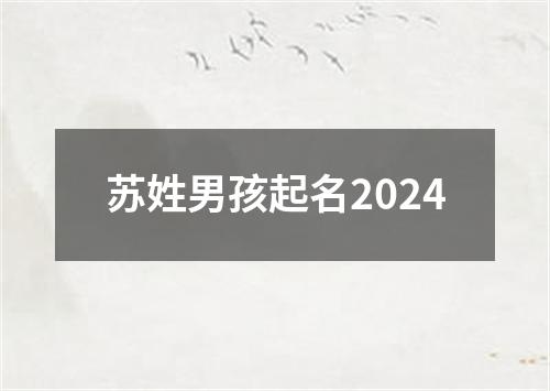 苏姓男孩起名2024