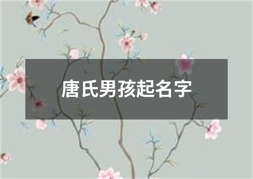 唐氏男孩起名字