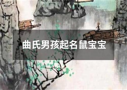 曲氏男孩起名鼠宝宝