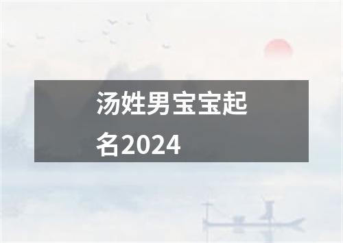 汤姓男宝宝起名2024