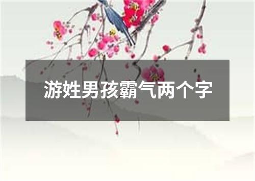 游姓男孩霸气两个字