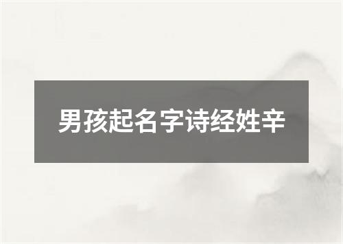 男孩起名字诗经姓辛