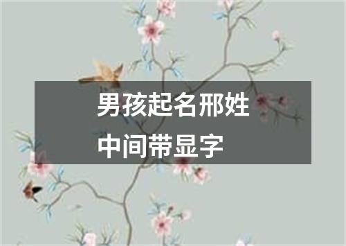 男孩起名邢姓中间带显字