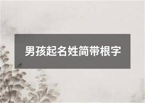 男孩起名姓简带根字