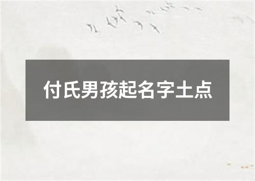 付氏男孩起名字土点