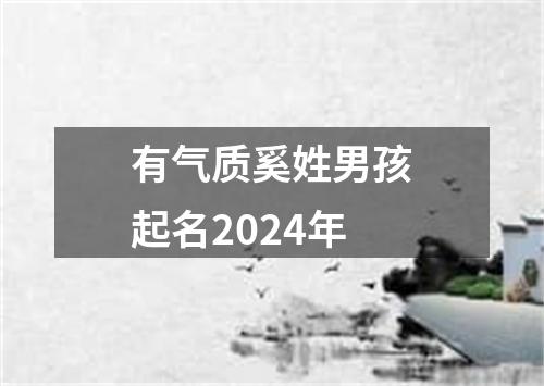 有气质奚姓男孩起名2024年