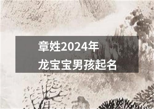 章姓2024年龙宝宝男孩起名