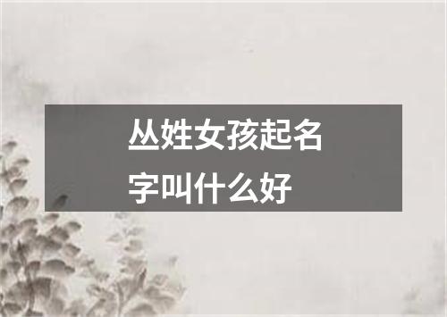 丛姓女孩起名字叫什么好