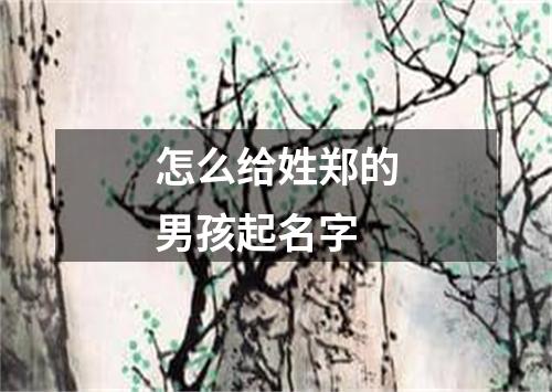 怎么给姓郑的男孩起名字